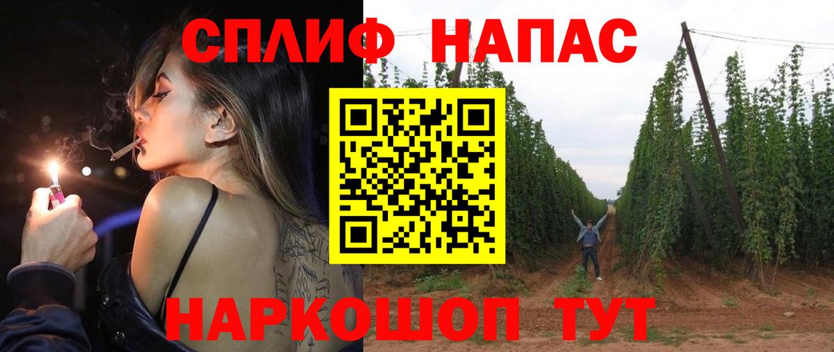 Каннабис сатива  Бошки марихуана ГИДРОПОН  Вход с VPN  Марихуана план  Тимашёвск 